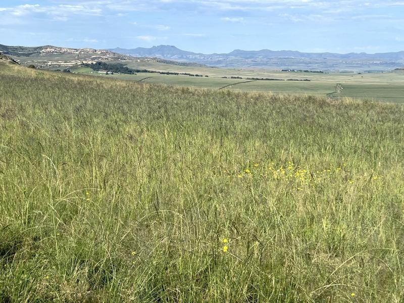 0 Bedroom Property for Sale in Fouriesburg Free State